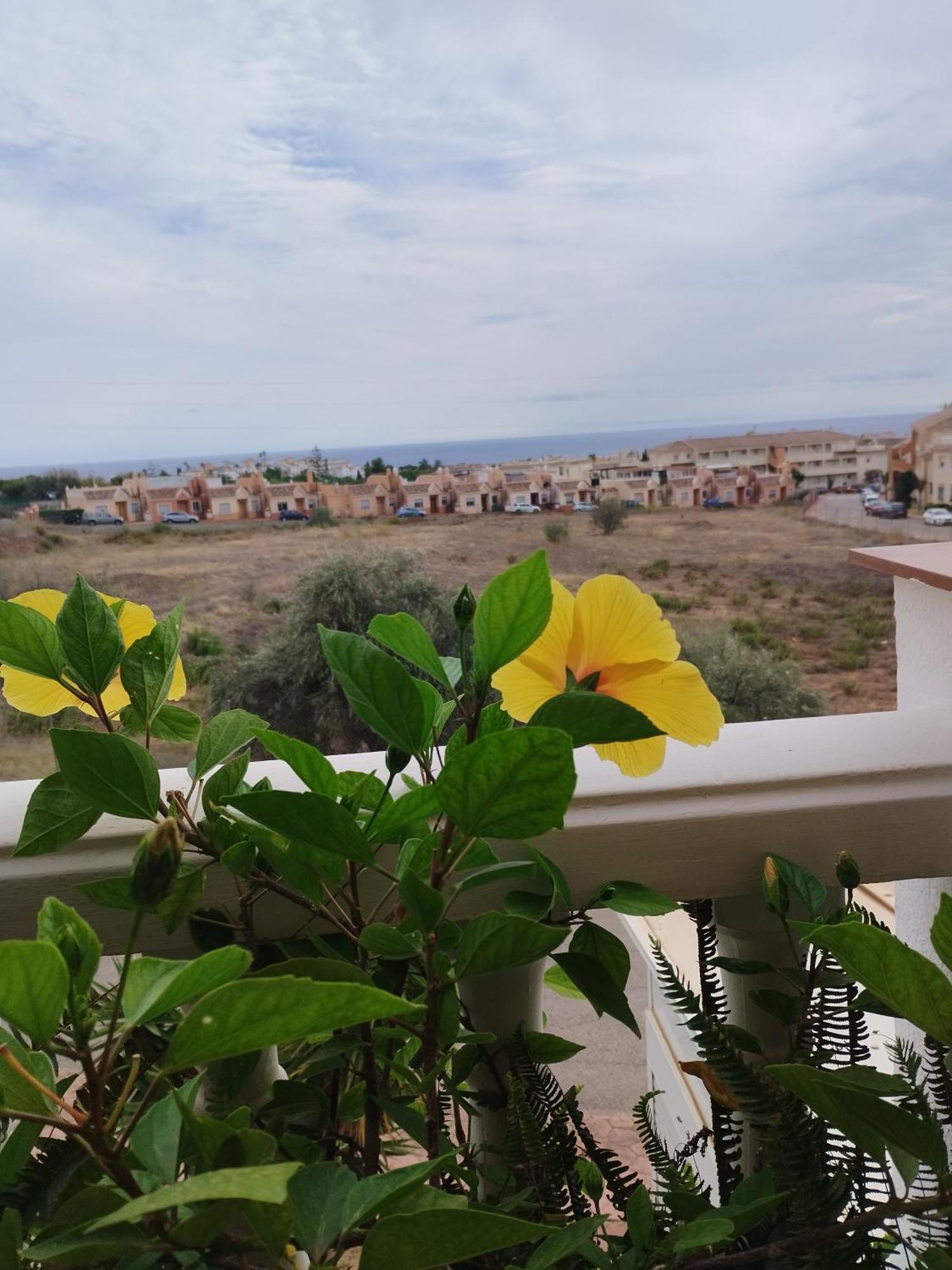 Ferienwohnung Casa Carino Torrox Exterior foto